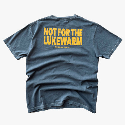 "NOT 4 LUKEWARM" T-SHIRT - DENIM