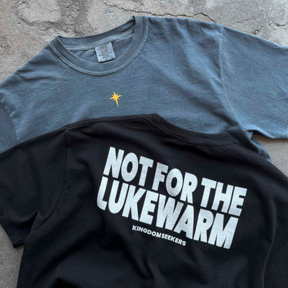 "NOT 4 LUKEWARM" T-SHIRT - DENIM